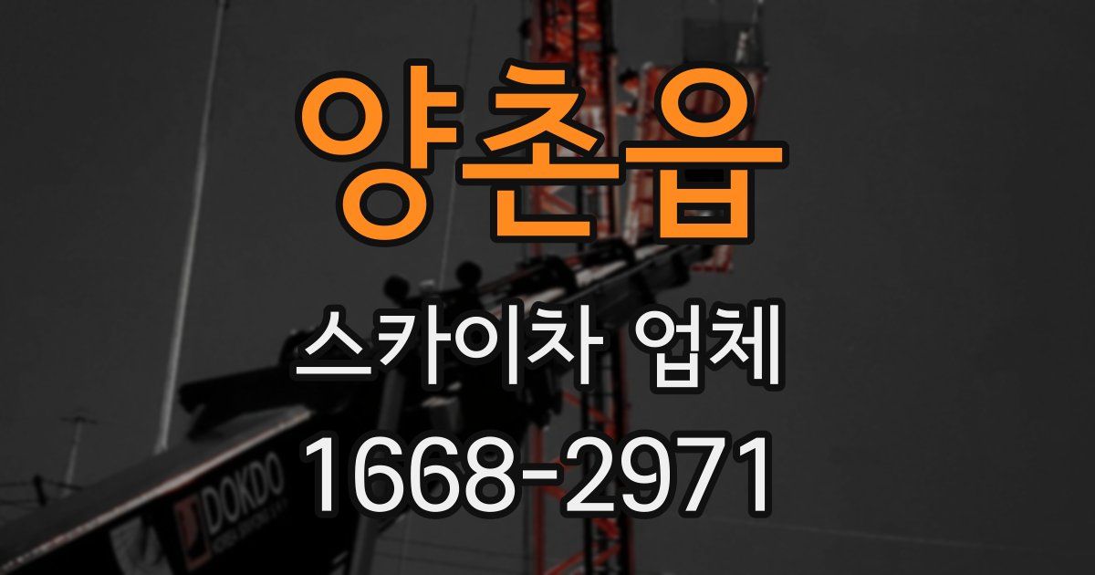 양촌읍 스카이차 업체