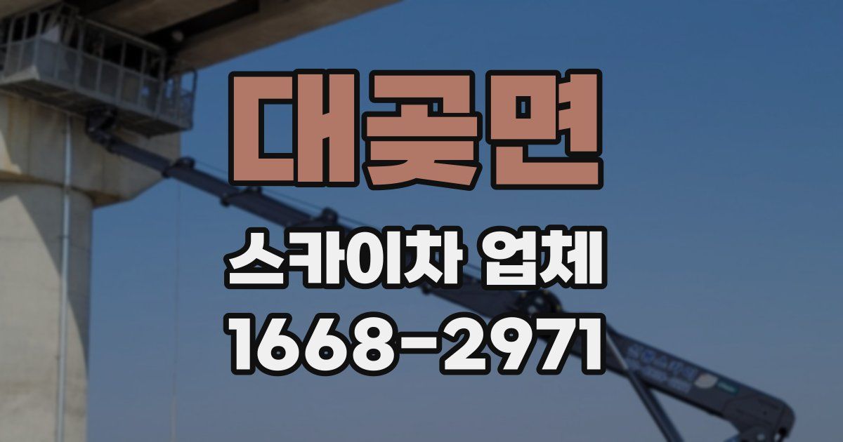 대곶면 스카이차 업체
