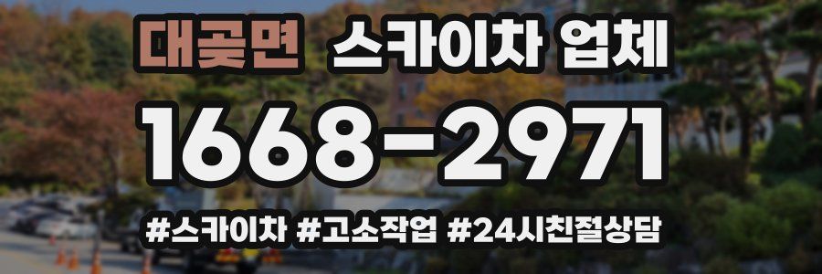 대곶면 스카이차 업체