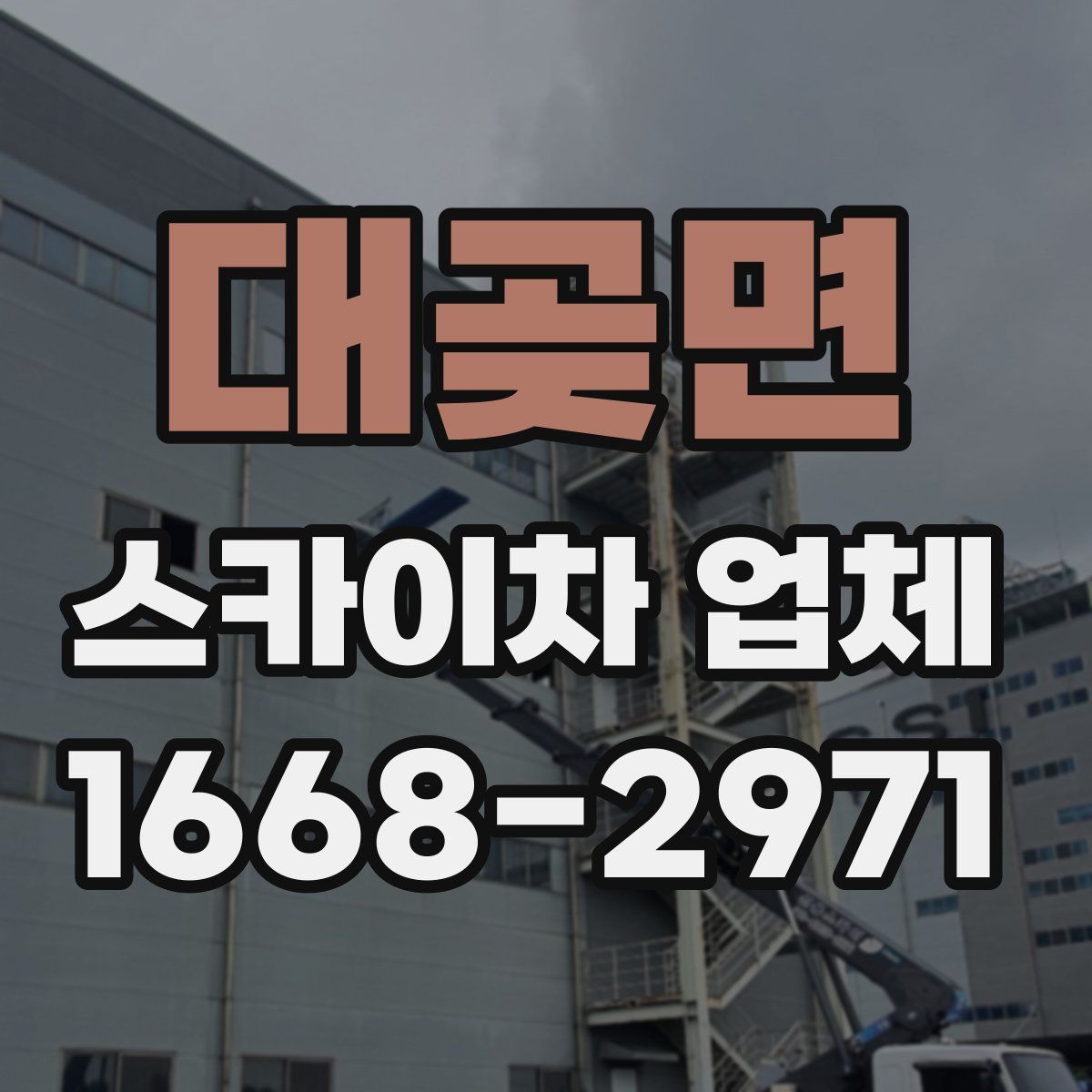 대곶면 스카이차 업체