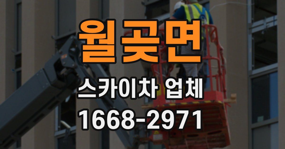 월곶면 스카이차 업체