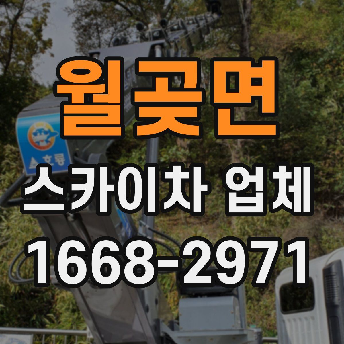 월곶면 스카이차 업체