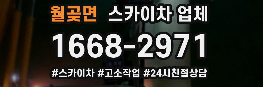 월곶면 스카이차 업체