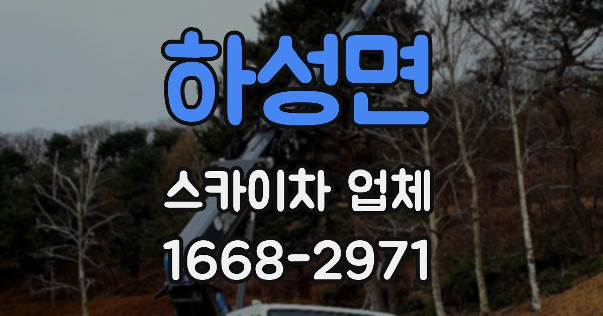 하성면 스카이차 업체