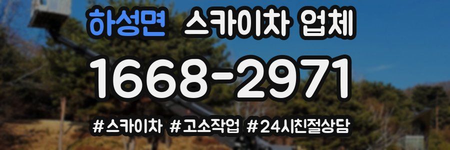 하성면 스카이차 업체