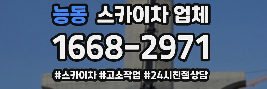 능동 스카이차 업체