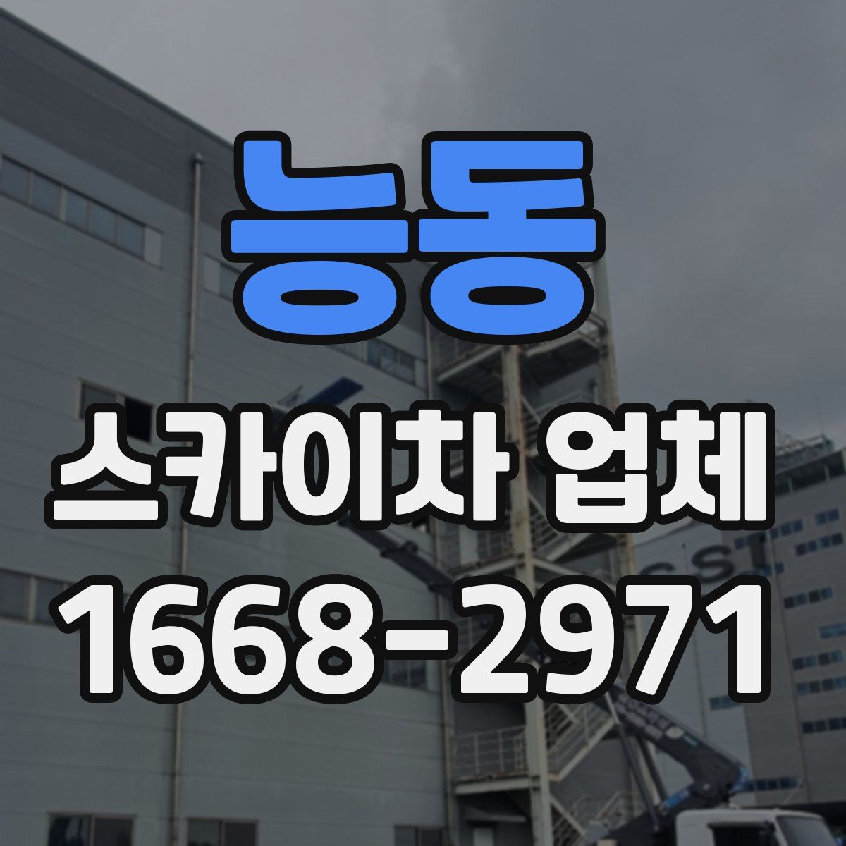 능동 스카이차 업체