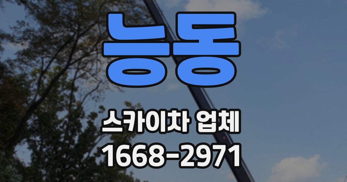 능동 스카이차 업체