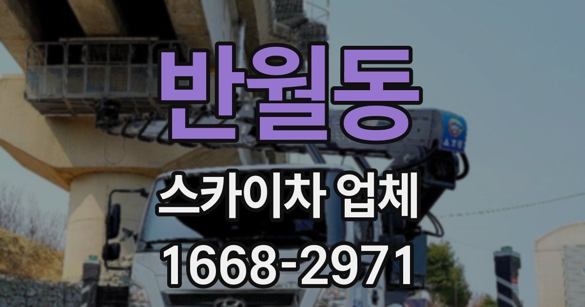 반월동 스카이차 업체