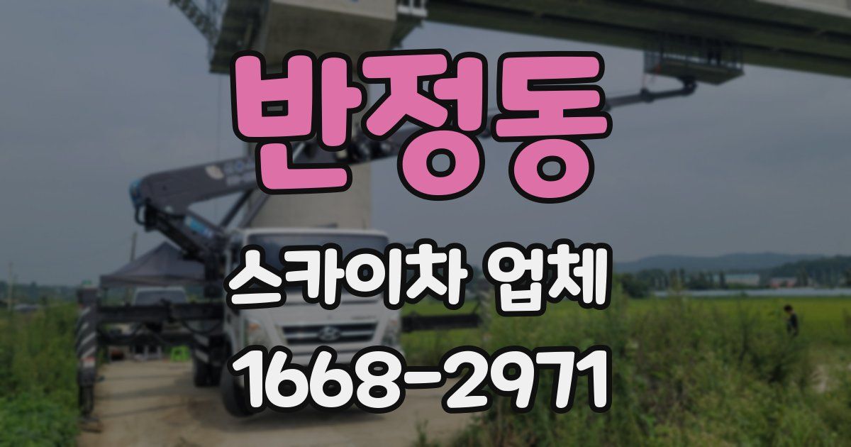 반정동 스카이차 업체