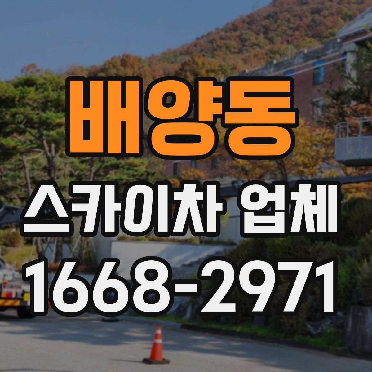 배양동 스카이차 업체