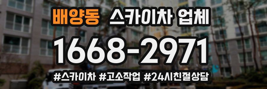 배양동 스카이차 업체