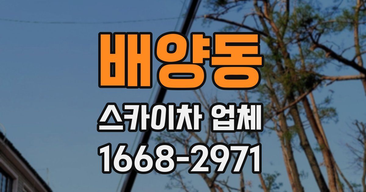 배양동 스카이차 업체