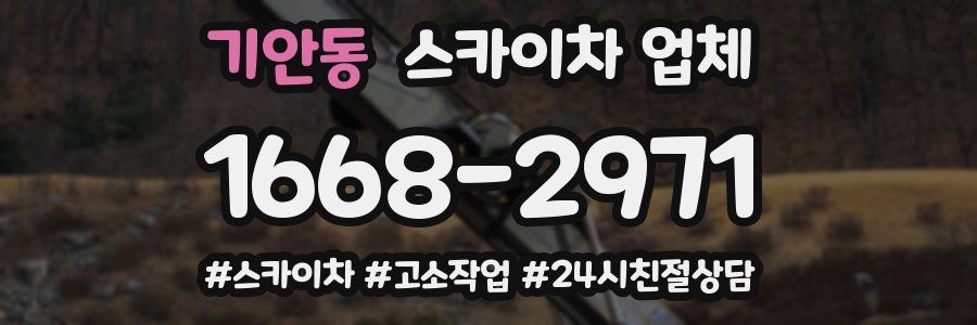기안동 스카이차 업체