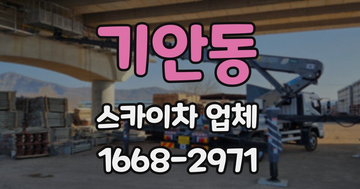 기안동 스카이차 업체