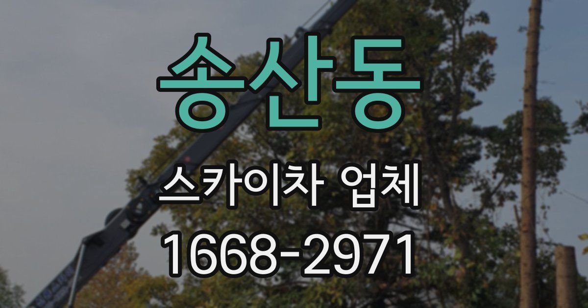 송산동 스카이차 업체