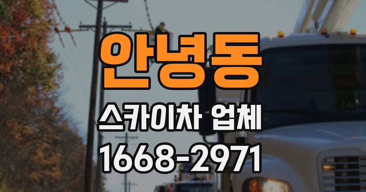 안녕동 스카이차 업체