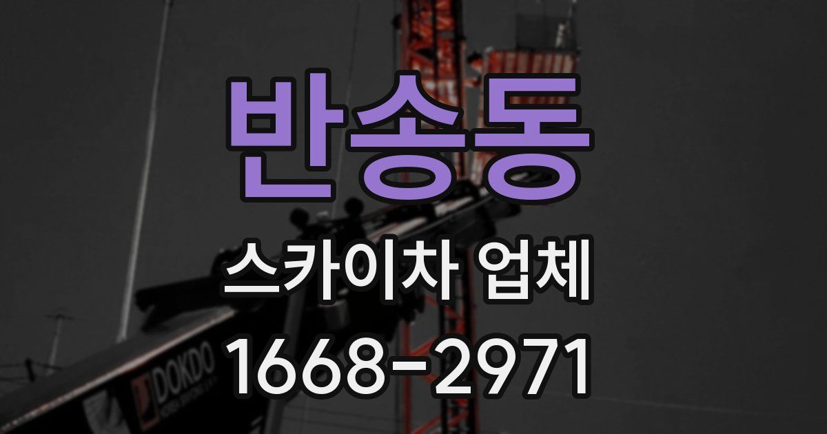 반송동 스카이차 업체