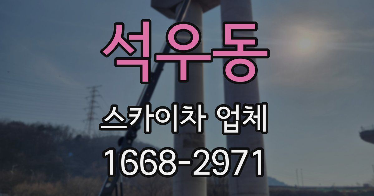 석우동 스카이차 업체
