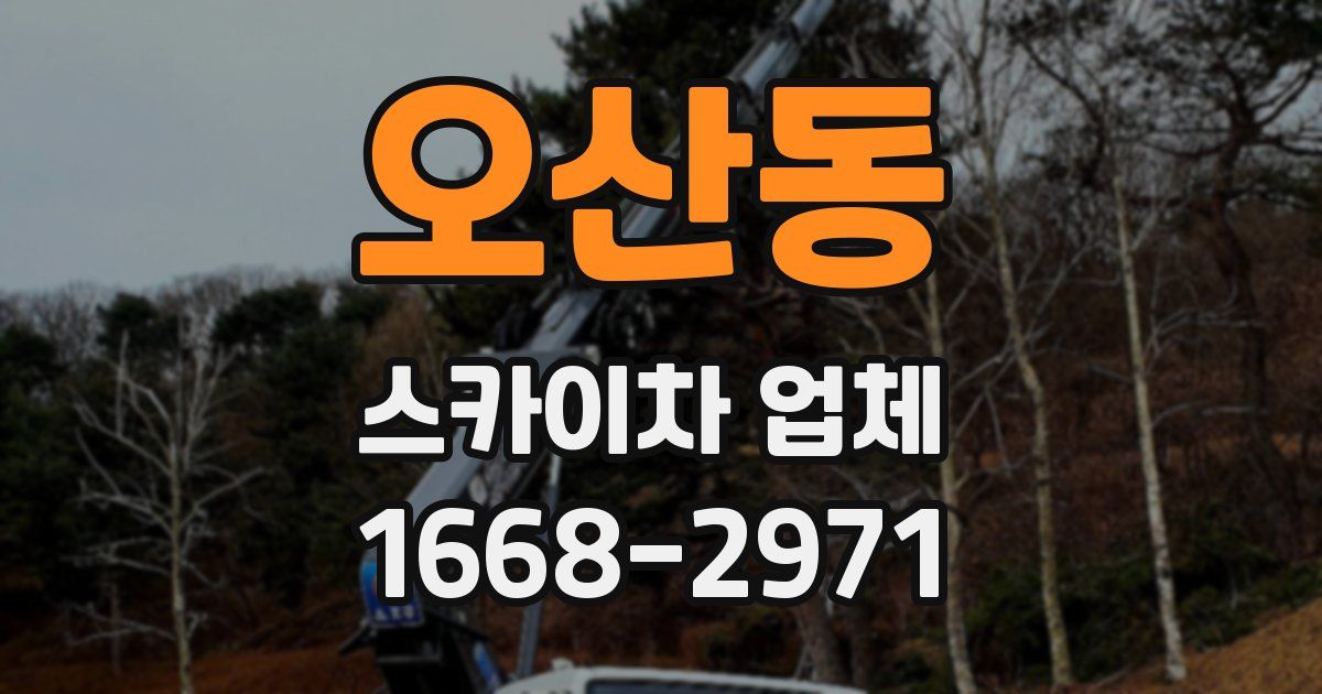 오산동 스카이차 업체