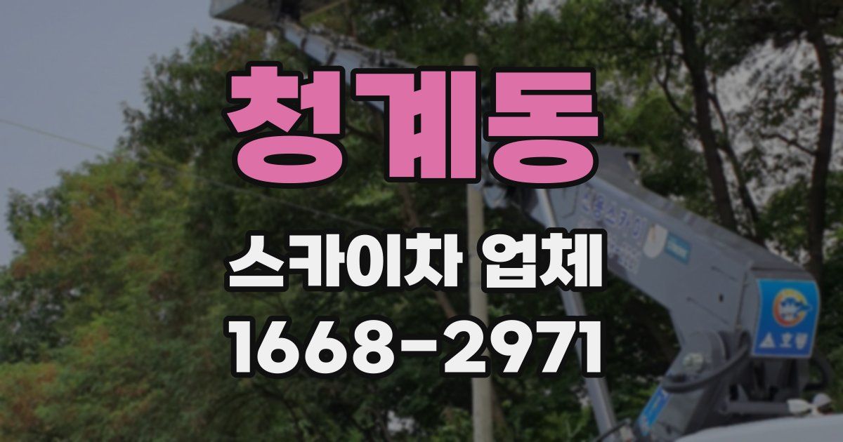 청계동 스카이차 업체