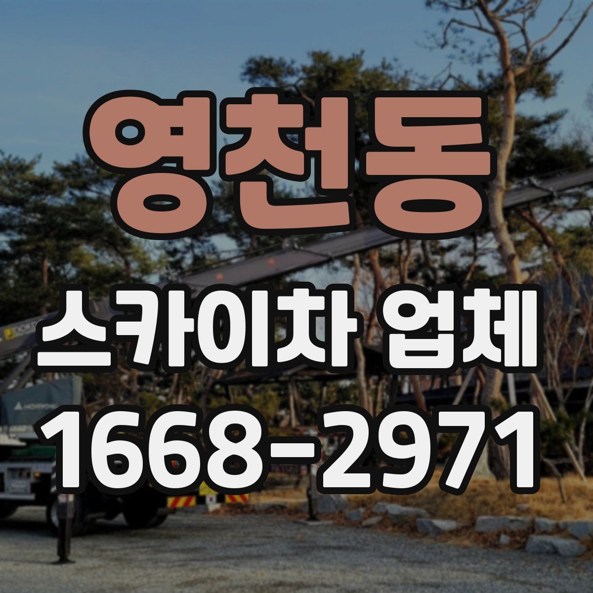 영천동 스카이차 업체