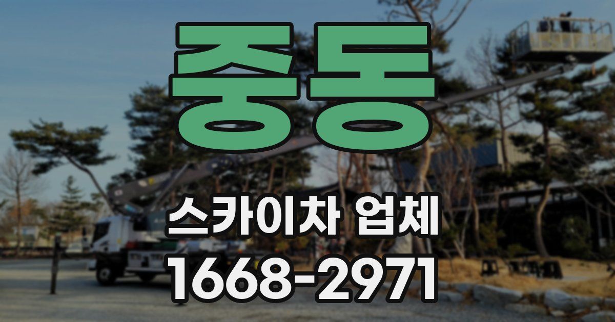 중동 스카이차 업체