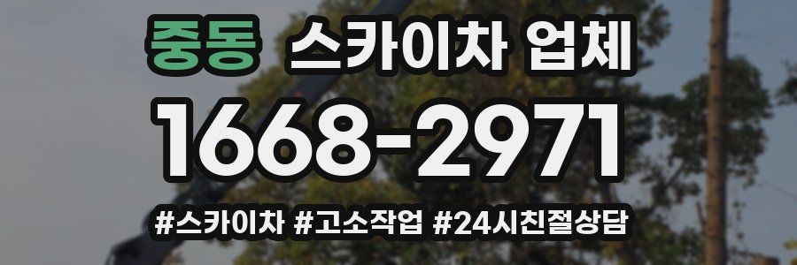 중동 스카이차 업체