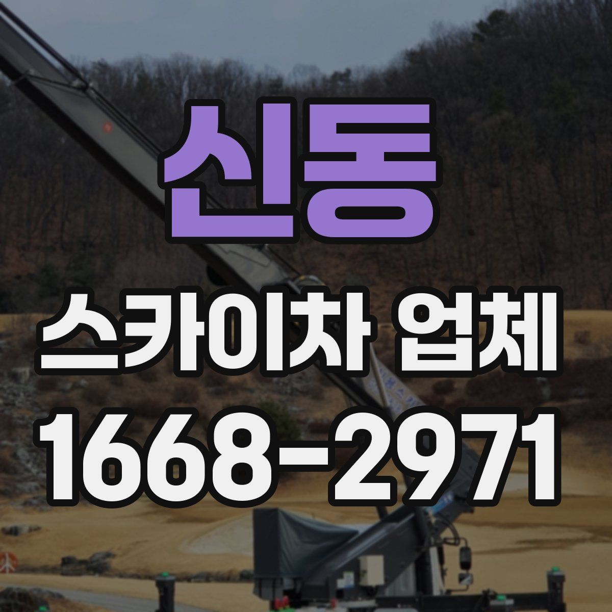 신동 스카이차 업체