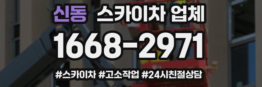 신동 스카이차 업체