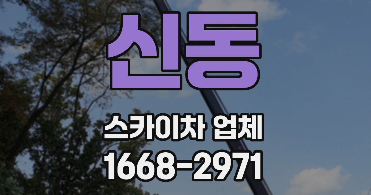 신동 스카이차 업체