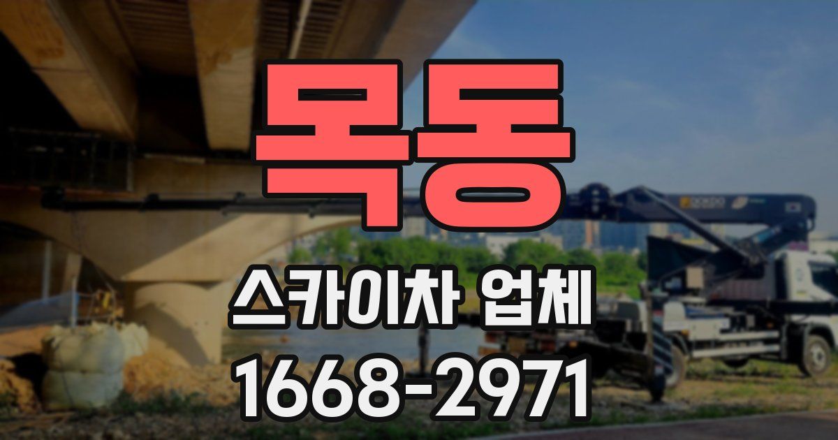 목동 스카이차 업체
