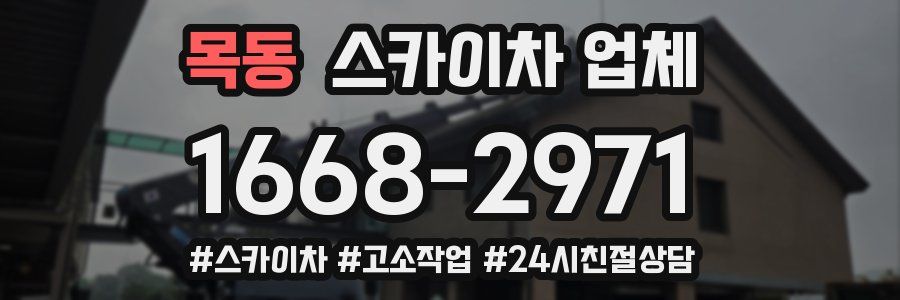 목동 스카이차 업체