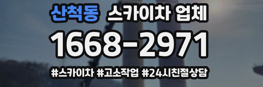 산척동 스카이차 업체
