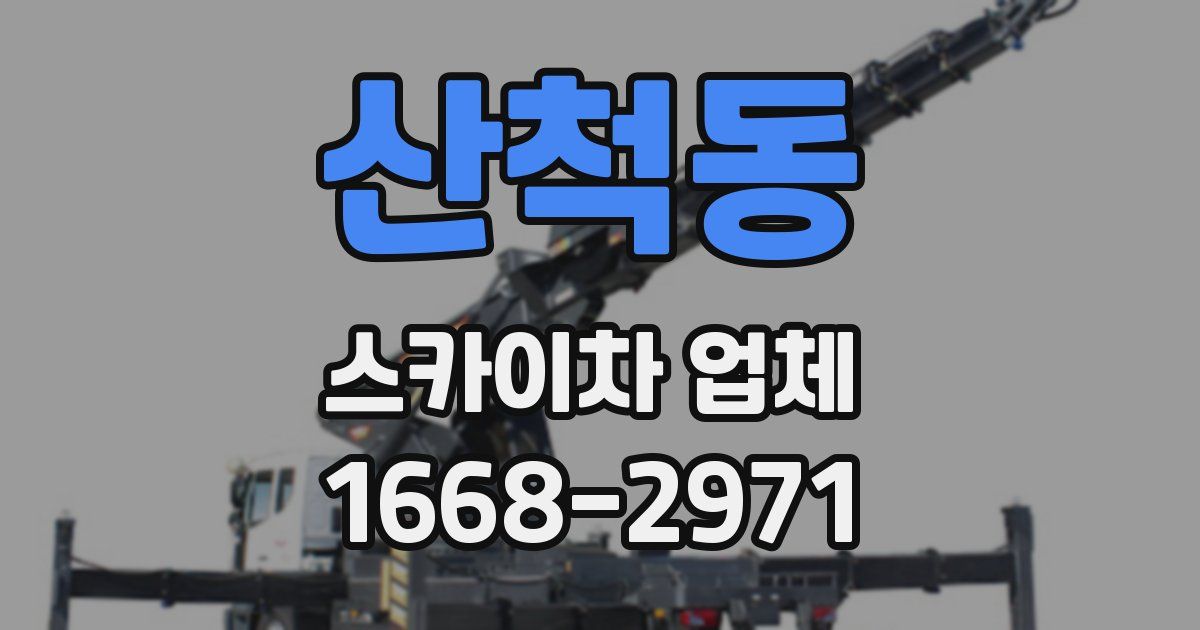 산척동 스카이차 업체