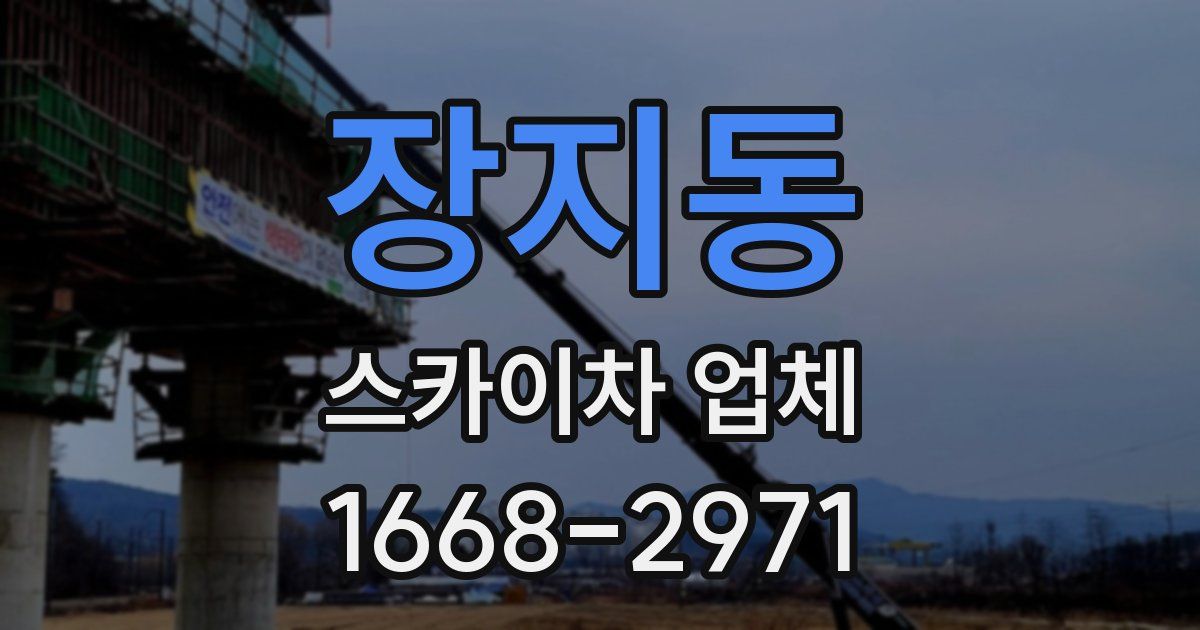 장지동 스카이차 업체