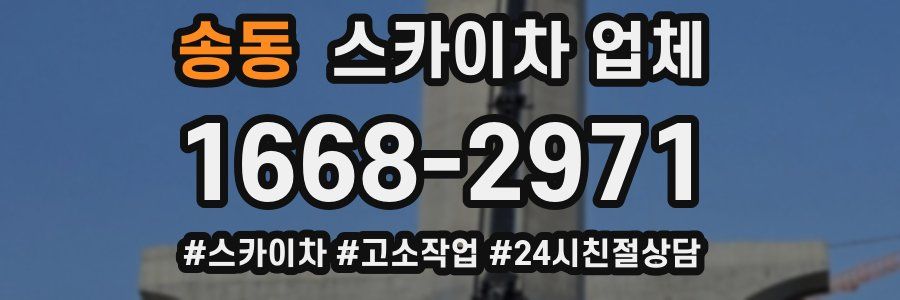 송동 스카이차 업체