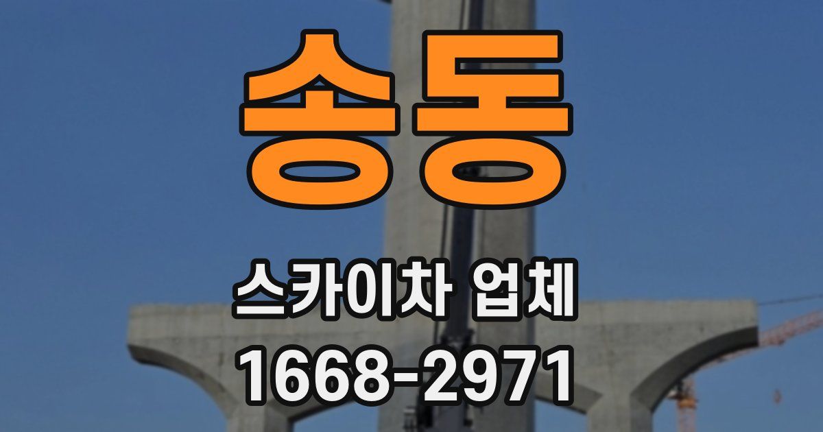송동 스카이차 업체