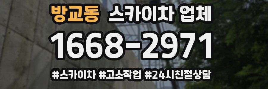 방교동 스카이차 업체