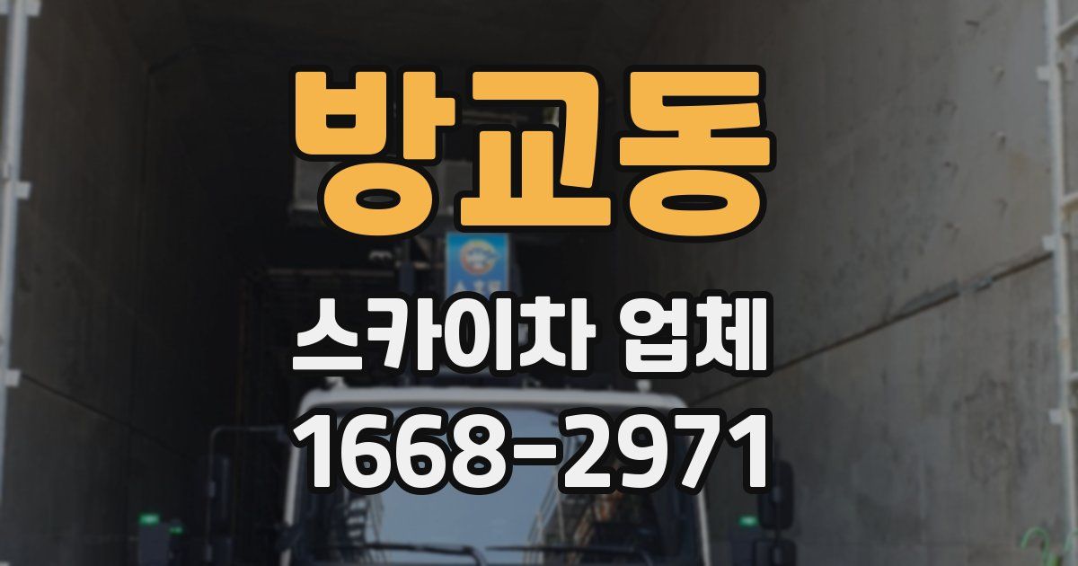 방교동 스카이차 업체