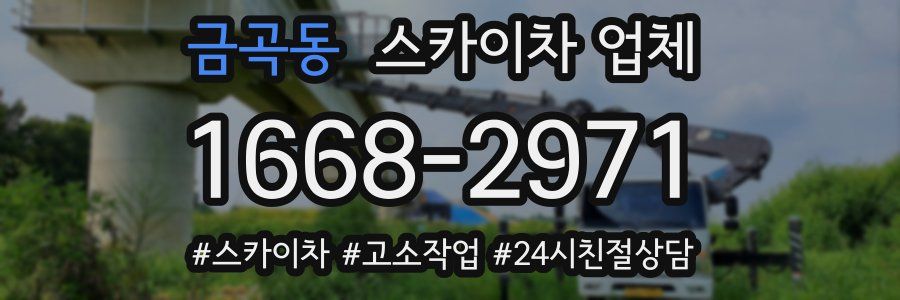 금곡동 스카이차 업체