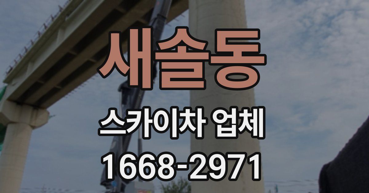 새솔동 스카이차 업체