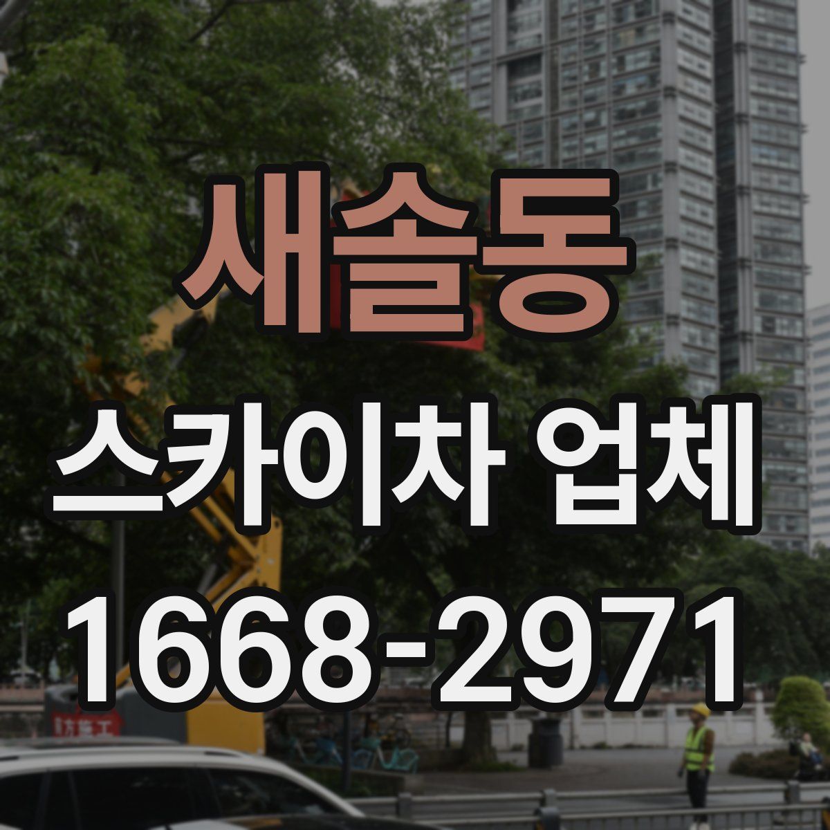 새솔동 스카이차 업체