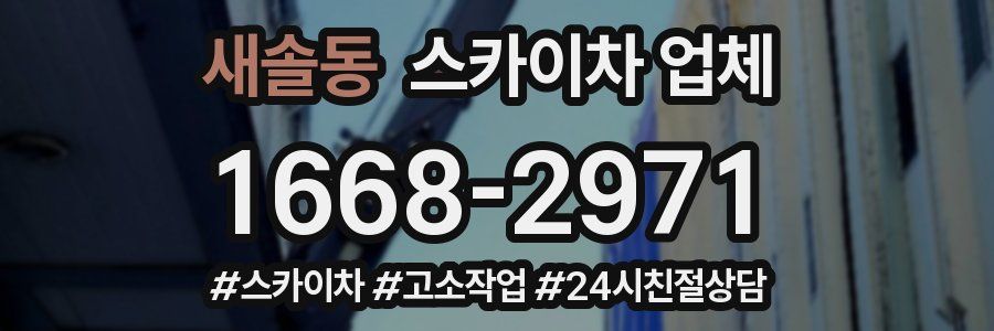 새솔동 스카이차 업체