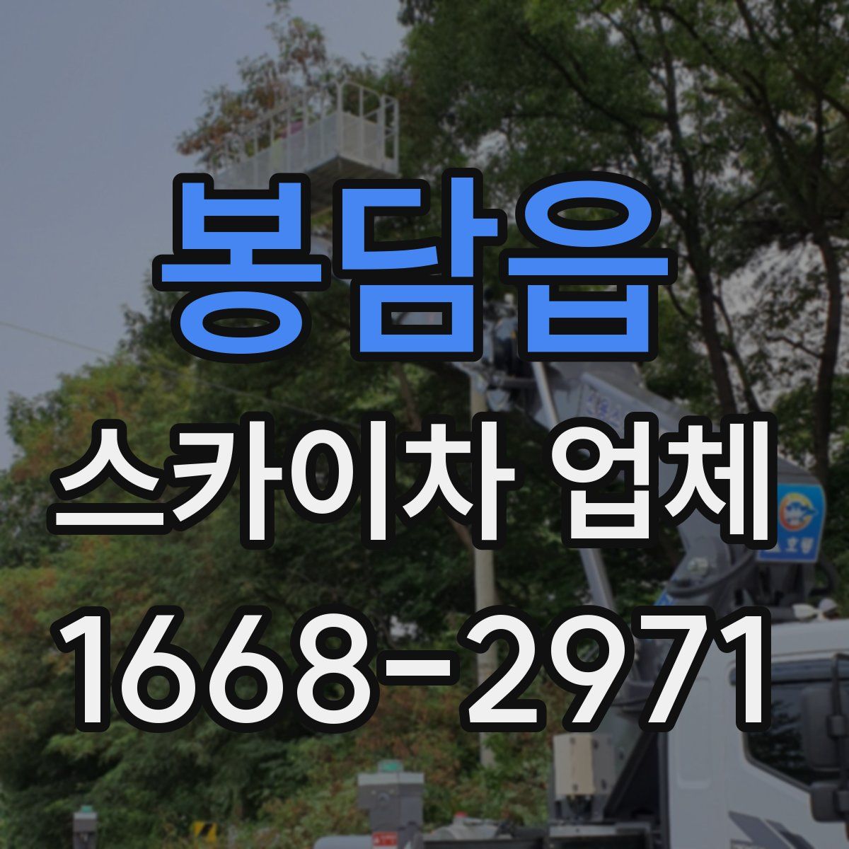 봉담읍 스카이차 업체