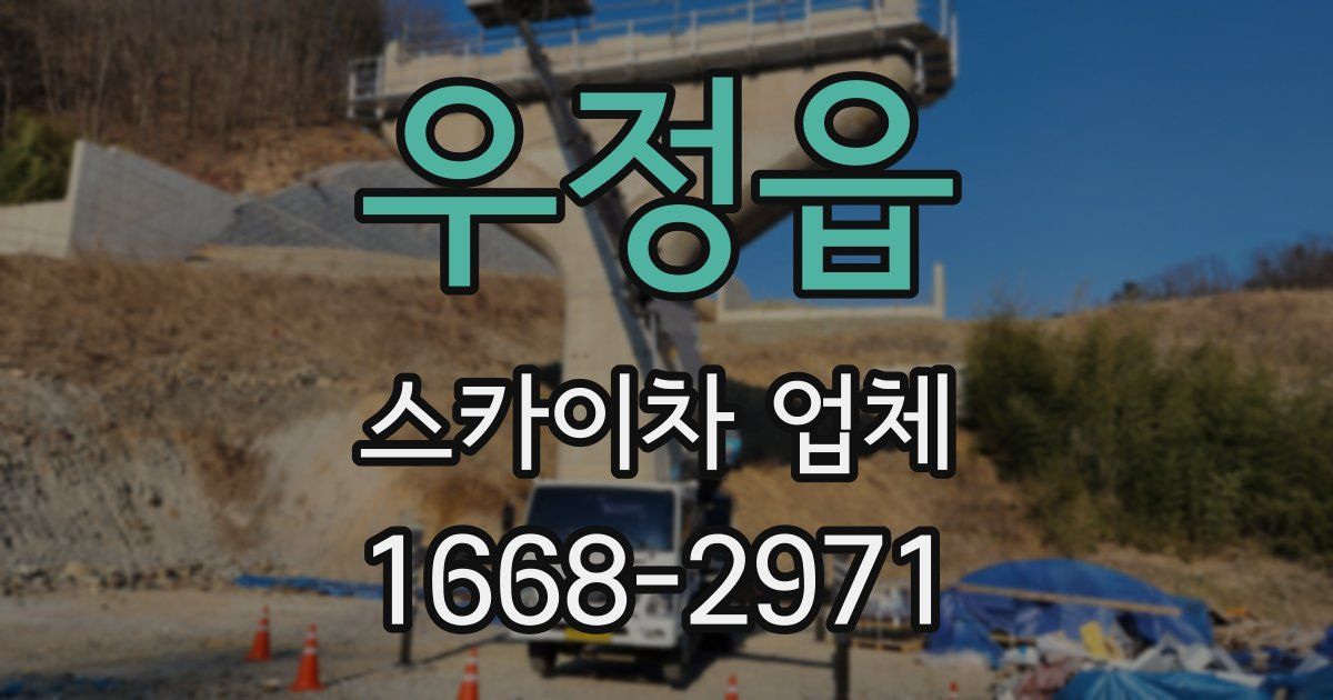 우정읍 스카이차 업체