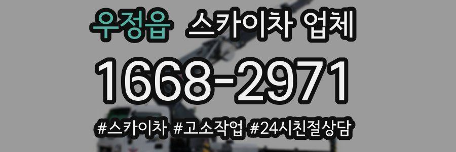 우정읍 스카이차 업체