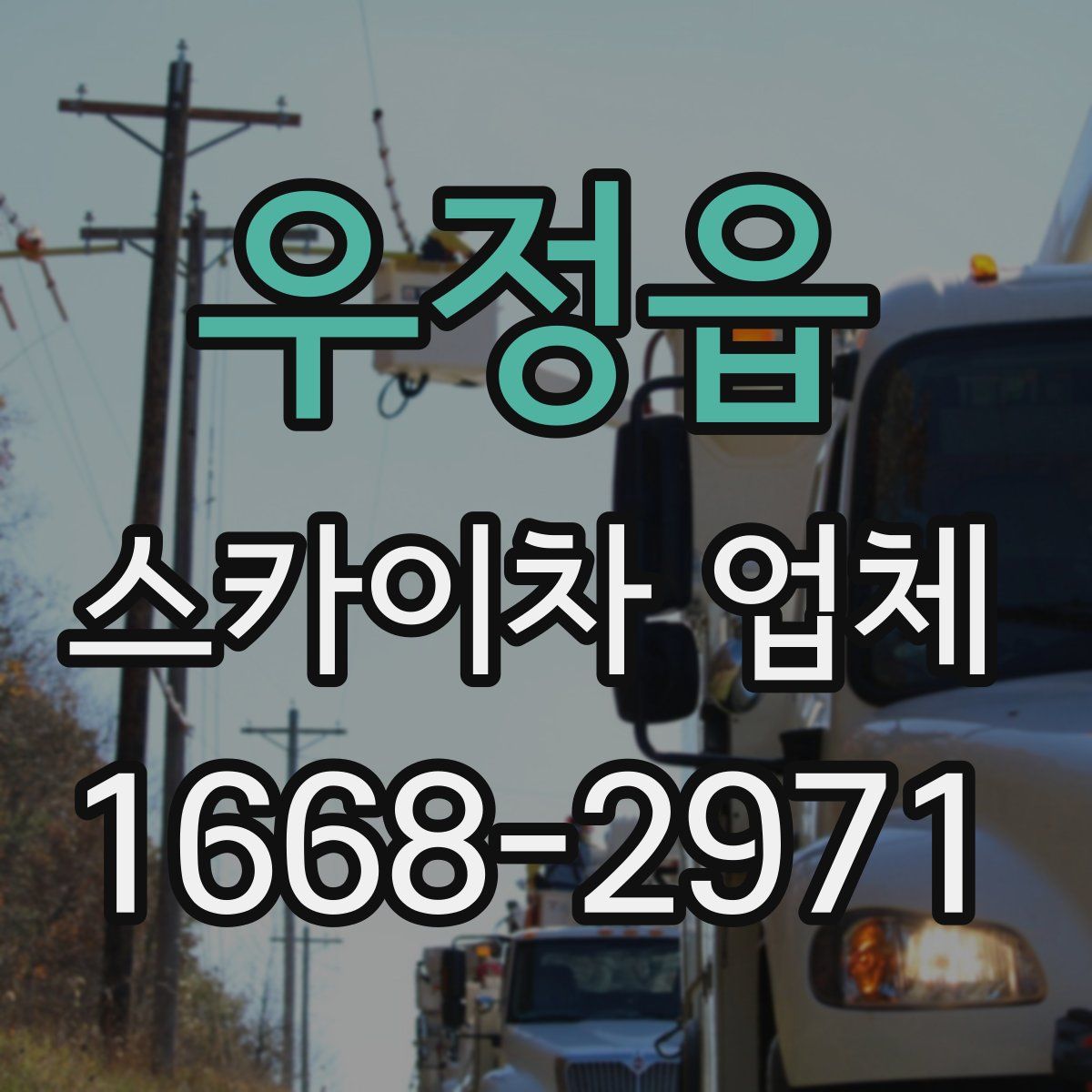 우정읍 스카이차 업체
