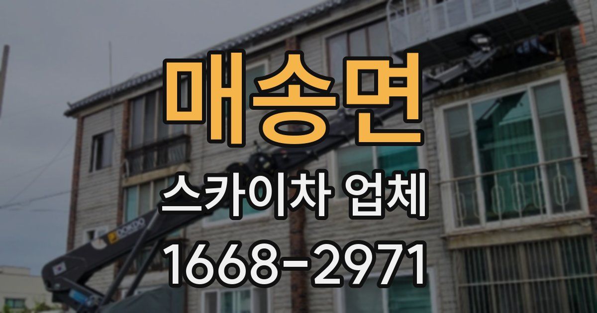 매송면 스카이차 업체