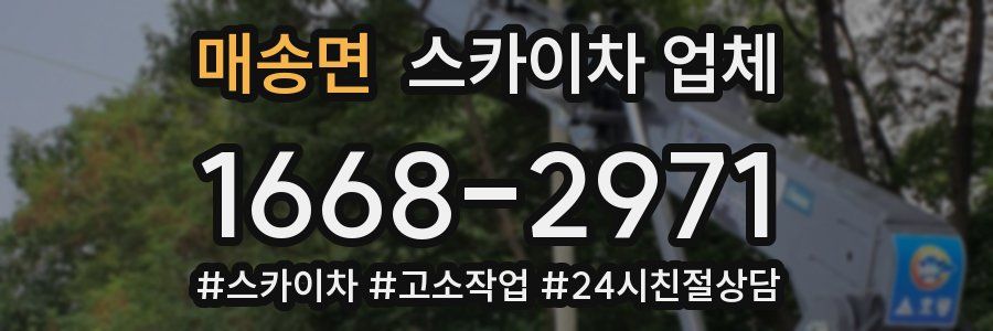 매송면 스카이차 업체